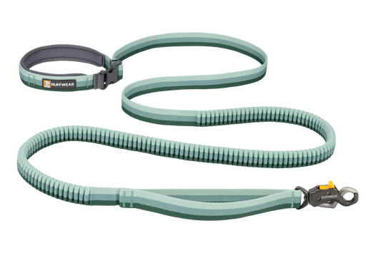 Roamer Lock™ Bungee Dog Leash