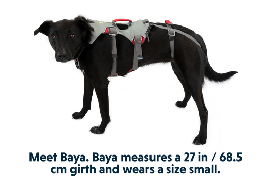 Doubleback™ Full Body Dog Harness